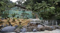 Willy mengungkapkan kawasan Ciguha River seluas 27,5 hektare ini rencananya juga akan mendukung berbagai kegiatan ekonomi masyarakat. Bersama Antam akan membangun tempat kuliner hingga cenderamata untuk digunakan masyarakat setempat.