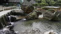 Willy mengungkapkan kawasan Ciguha River seluas 27,5 hektare ini rencananya juga akan mendukung berbagai kegiatan ekonomi masyarakat. Bersama Antam akan membangun tempat kuliner hingga cenderamata untuk digunakan masyarakat setempat.