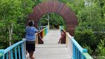 Intip Taman Wisata Mangrove Pertama di Papua