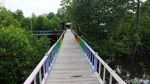 Intip Taman Wisata Mangrove Pertama di Papua