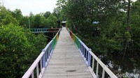 Ada juga pelataran kayu yang panjang membuat destinasi ini makin instagrameble. Fasilitasnya pun lengkap, mulai dari lahan parkir, toilet, dermaga, hingga gazebo siap memanjakan wisatawan.