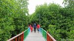 Intip Taman Wisata Mangrove Pertama di Papua