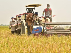 Hari Pangan Sedunia, FAO Puji Kinerja Sektor Pertanian RI saat Pandemi