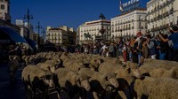Festival ini mengklaim peran Transhumance dan peternakan ekstensif sebagai cara lestarikan keanekaragaman hayati dan perangi perubahan iklim  