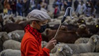 Selain itu festival ini juga menjadi bentuk protes menuntut hak menggunakan rute migrasi dari Spanyol utara menuju padang rumput di Spanyol selatan.  