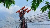Pekerjaan PLN untuk pemeliharaan, perluasan jaringan maupun rekonfigurasi jaringan Listrik 20 kV (20.000 Volt) yang dilakukan secara tanpa padam atau dalam keadaan bertegangan.