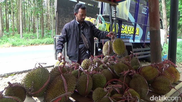 Legit Creamy Durian Mentega dari Lereng Gunung Semeru yang Bikin Nagih