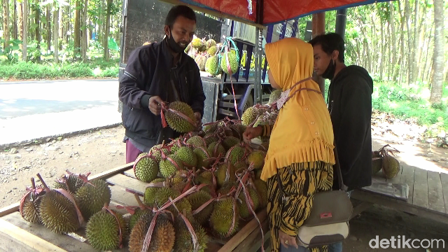 Legit Creamy Durian Mentega dari Lereng Gunung Semeru yang Bikin Nagih