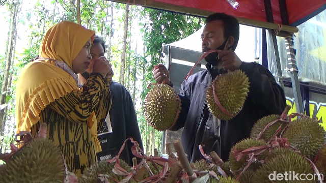 Legit Creamy Durian Mentega dari Lereng Gunung Semeru yang Bikin Nagih