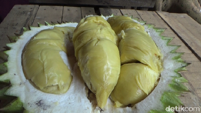 Legit Creamy Durian Mentega dari Lereng Gunung Semeru yang Bikin Nagih