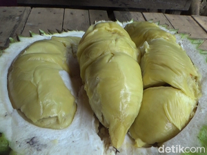 Legit Creamy Durian Mentega dari Lereng Gunung Semeru yang Bikin Nagih