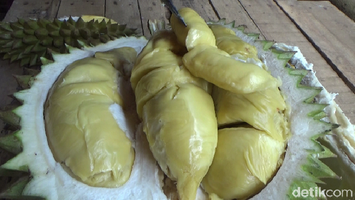 Legit Creamy Durian Mentega dari Lereng Gunung Semeru yang Bikin Nagih