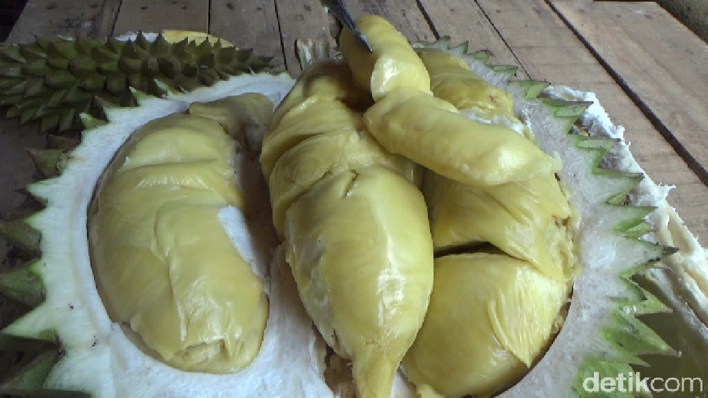 Durian Mentega di Lumajang Tawarkan Sensasi Manis Legit