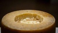 Ini adalah keju Casu Marzu. Coba perhatikan di bagian tengah keju tersebut ada belatungnya. Ternyata itu memang sengaja untuk membuat lebih lembut dan rasanya kuat. Foto: The Disgusting Food Museum