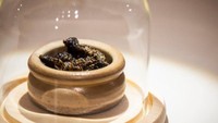 Jika di Indonesia ulat sagu dijadikan santapan, maka sama halnya dengan di Zimbabwe yang mengonsumsi ulat mapone. Foto: The Disgusting Food Museum