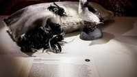 Makanan ini adalah kiviak. Kiviak disebut-sebut sebagai makanan yang paling menjijikkan di dunia. Terbuat dari anjing laut yang dikeluarkan isi perutnya dan diisi kembali dengan 300-500 anak burung auk. Foto: The Disgusting Food Museum