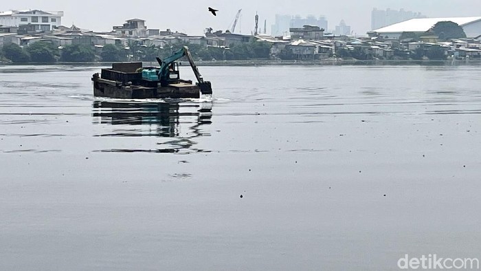 Memasuki musim hujan, Waduk Pluit terus dibersihkan. Sampah dan enceng gondok yang mengotori waduk dikeruk menggunakan alat berat.
