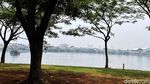 Musim Hujan, Sampah Waduk Pluit Dibersihkan