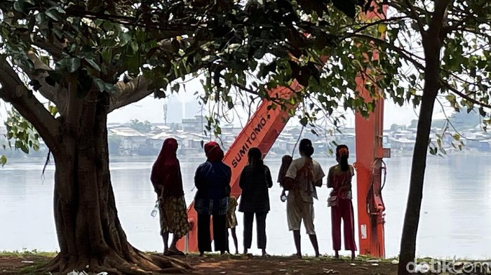 Musim Hujan, Sampah di Waduk Pluit Dibersihkan Memasuki musim hujan, Waduk Pluit terus dibersihkan. Sampah dan enceng gondok yang mengotori waduk dikeruk menggunakan alat berat.
