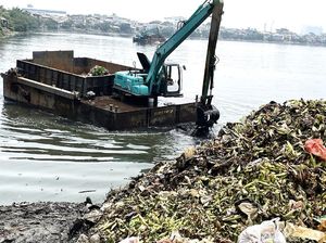 Musim Hujan, Sampah Waduk Pluit Dibersihkan