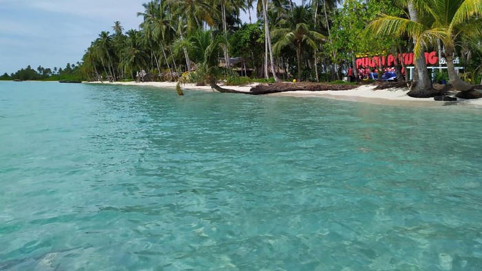 Pulau Panjang tempat anjing dievakuasi (Agus-detikcom)