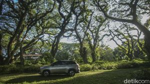 Keseruan Road Trip 3.000 Km Jakarta-Bali Bersama Wuling Almaz RS