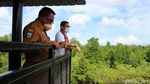 Sandiaga Kunjungi Taman Mangrove Pertama di Papua