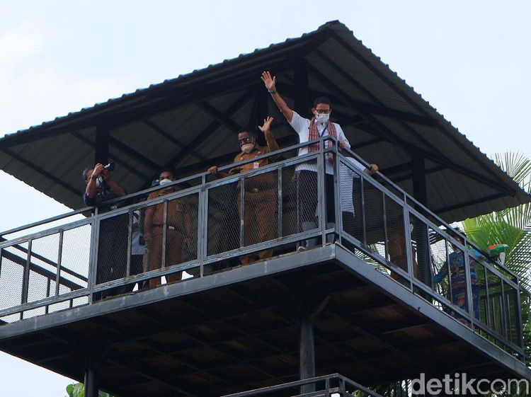 Sandiaga Kunjungi Taman Mangrove Pertama di Papua