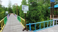 Sandiaga berkeliling selama 30 menit melihat hutan mangrove yang menjadi alternatif wisata di Kota Sorong.