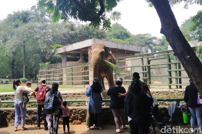 Taman Margasatwa Ragunan