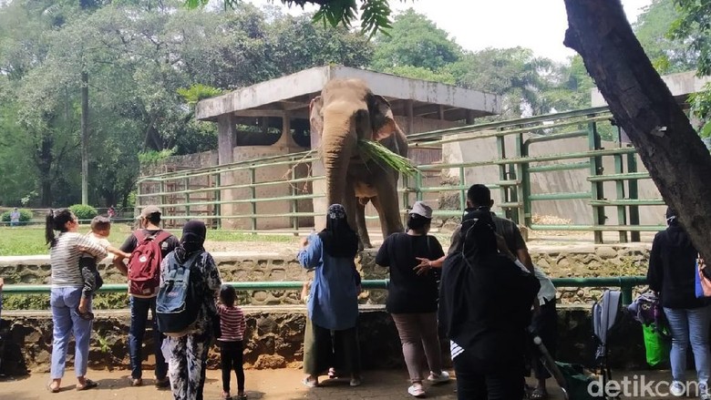 Taman Margasatwa Ragunan Taman Margasatwa Ragunan