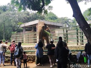 Warga DKI yang Sudah Vaksin 100% Boleh Masuk Ragunan