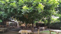 Restoran satu ini bisa jadi pilihan tempat bersantai karena dikelilingi kebun asri dengan pohon rimbun. Ada menu tilapia bakar sambal matah racikan nenek yang sedap.Foto: detikFood/Devi S. Lestari