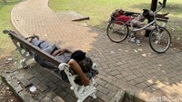 Taman terihat kumuh dan banyak kotoran  sampah yang berserakan.