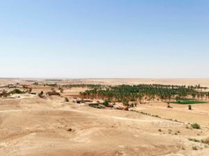 Desa di Gurun Irak Terisolasi, COVID Diklaim Tak Sampai ke Sini