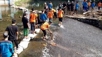 Kegiatan bersih-bersih sungai berlangsung di sungai Bantar dan Sungai Guyangan di sekitar umbul Sungsang. Mereka membawa kantong plastik ukuran besar untuk menampung sampah-sampah kecil. Selanjutnya sampah dibawa ke daratan.