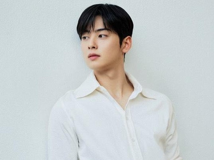 Cha Eun Woo Cha Eun Woo