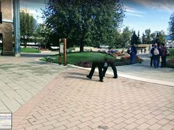 Kumpulan Foto Lucu Google Street  View dan Juga Bikin Terperangah