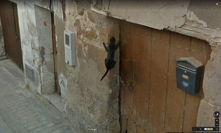 Fotoinet kumpulan gambar street view lucu