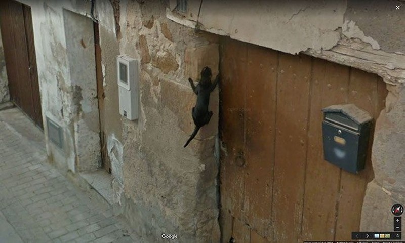 Fotoinet kumpulan gambar street view lucu