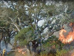 Kumpulan Foto Lucu Google Street  View dan Juga Bikin Terperangah