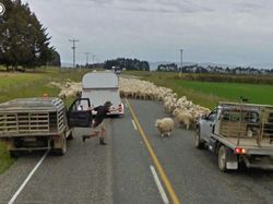 Kumpulan Foto Lucu Google Street  View dan Juga Bikin Terperangah