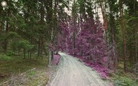 fotoinet kumpulan street view lucu
