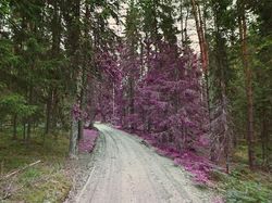 Kumpulan Foto Lucu Google Street  View dan Juga Bikin Terperangah