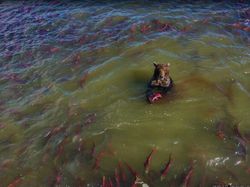 Kumpulan Foto Lucu Google Street  View dan Juga Bikin Terperangah