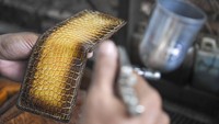 Sementara itu, penunjukan Merauke sebagai salah satu klaster tuan rumah Pekan Olahraga Nasional (PON) XX Papua membawa berkah bagi perajin kulit buaya.