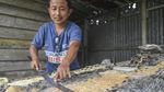 Geliat Produksi Kerajinan Kulit Buaya Made in Merauke