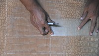 Beginilah salah satu proses yang harus dilalui oleh perajin kulit buaya.