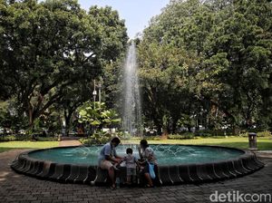 4 Keunikan Taman Suropati, Aneka Ragam Flora hingga Spot Baca Buku