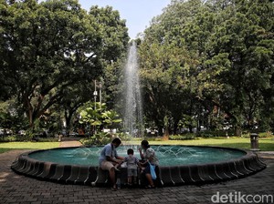 4 Keunikan Taman Suropati, Aneka Ragam Flora hingga Spot Baca Buku
